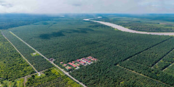 WTK Holdings to dispose of three Miri oil palm estates for RM221.5 million