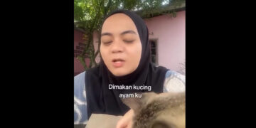 Cat caught red-handed stealing blind woman&rsquo;s fried chicken