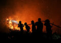 NEA serves haze notices on 20 companies over Indonesian fires