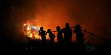 NEA serves haze notices on 20 companies over Indonesian fires