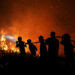 NEA serves haze notices on 20 companies over Indonesian fires