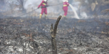 Why is it so hard to put out Indonesia&rsquo;s fires?