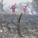 Why is it so hard to put out Indonesia&rsquo;s fires?