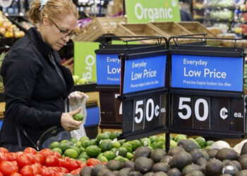 World food prices near 4-year high in September
